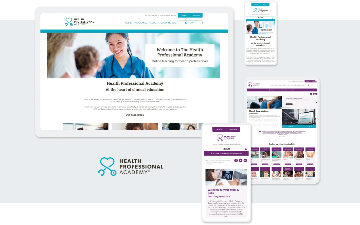 Health Professional Academy Case Study